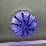 Ceiling lights
