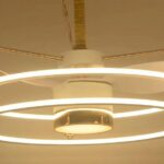 Modern ceiling light with built-in fan