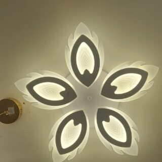 Ceiling light